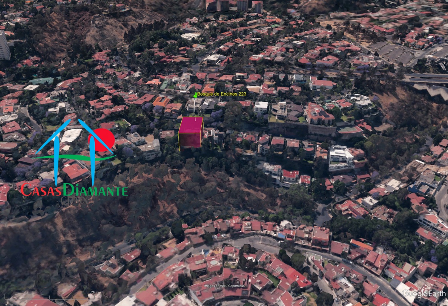 Bosques de las Lomas Terreno Jaguar BBC - Vista satelital 1